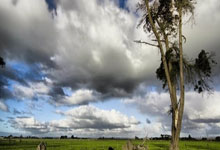 卡塔尔对阵伊朗，谁更有望在这场较量中胜出？